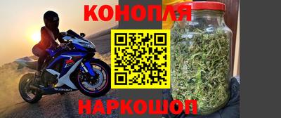 бошки Новозыбков