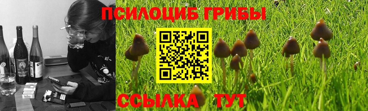 Галлюциногенные грибы GOLDEN TEACHER Серпухов